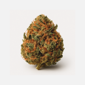 Luana 22/1 Girl Scout Cookies