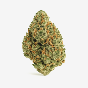 Huala 30/1 CA DBC – Durban Cherry